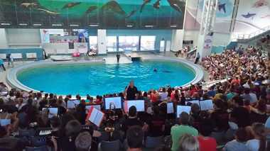 Spectacol la Delfinariul din Constanţa pe muzica unei orchestre simfonice. FOTO/ VIDEO
