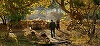 Oscar 2019 - Un film al lui Nuri Bilge Ceylan, pentru prima dată propunerea Turciei pentru o nominalizare