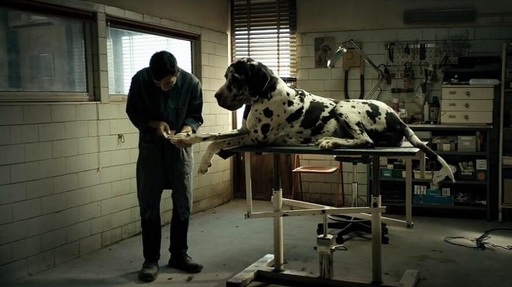 „Dogman”, regizat de Matteo Garrone, din 25 ianuarie în cinematografele româneşti