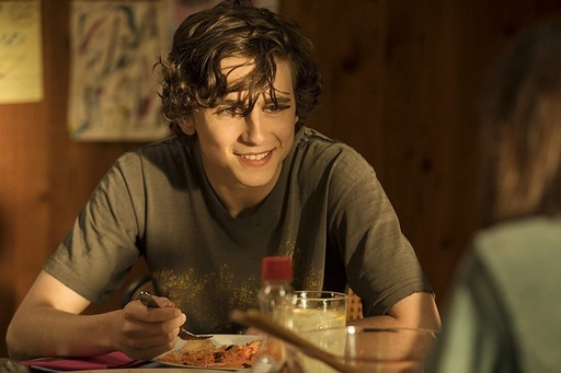 Actorul Timothée Chalamet va fi premiat la Palm Springs IFF pentru rolul din „Beautiful Boy”
