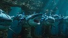 Filmul "Aquaman" s-a menţinut pe primul loc în box office-ul românesc de weekend. Trei debuturi în top 10