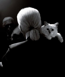 Pisica birmaneză a lui Karl Lagerfeld, Choupette, a moştenit 200 de milioane de dolari