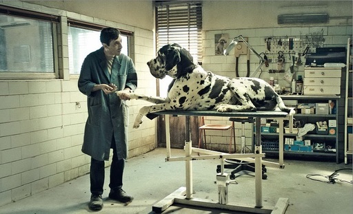 „Dogman” al lui Matteo Garrone, marele câştigător al galei premiilor David di Donatello

