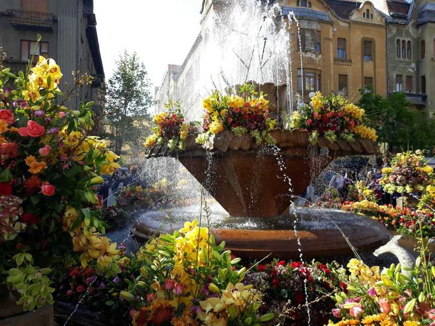 La Timişoara s-a deschis festivalul florilor, Timfloralis. Cel mai scump aranjament costă 38.000 de euro. FOTO