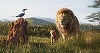 Lungmetrajul live-action „Regele Leu”, debut românesc de peste 1,7 milioane de lei