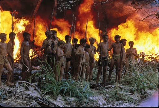 Luca Guadagnino, în negocieri pentru a regiza adaptarea „Lord of the Flies” produsă de Warner Bros.