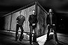 Supergrupul format din Dave Grohl, Josh Homme şi John Paul Jones s-ar putea reuni

