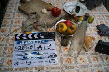 REPORTAJ - „Lebensdorf”, un film 100% românesc, o reprezentare socio-culturală a unei generaţii aflate la răscruce. Mimi Brănescu şi Ioana Flora, cuplu în impas