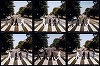 Albumul "Abbey Road" al formaţiei The Beatles revine pe primul loc în topurile britanice la 50 de ani de la lansare - VIDEO