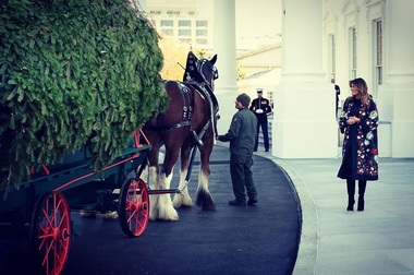 Melania Trump a dat startul sărbătorilor de iarnă cu ceremonia bradului de Crăciun - FOTO