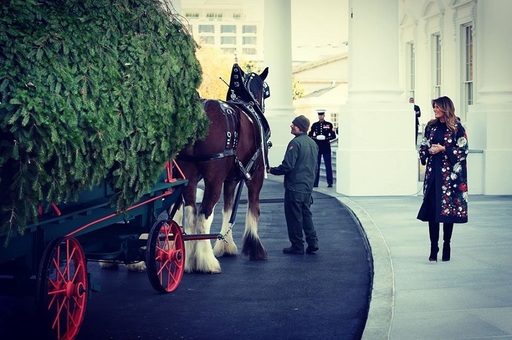 Melania Trump a dat startul sărbătorilor de iarnă cu ceremonia bradului de Crăciun - FOTO