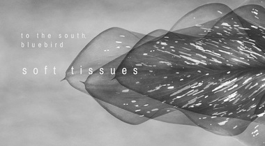 Grupul dream-pop To the South, Bluebird îşi va prezenta al doilea album într-un concert la Bucureşti