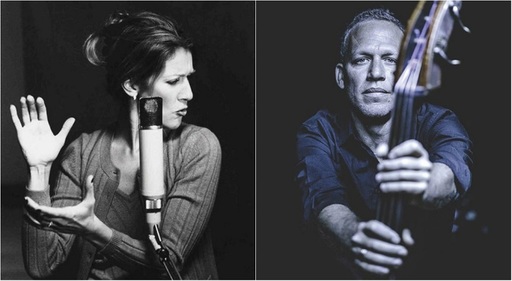 Concertele anului 2020 în România - Celine Dion, Mariza, Avishai Cohen, Pink Martini, Papa Roach şi Machine Head