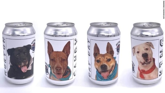 O fabrică din Florida a lansat cutii de bere cu fotografii ale unor câini ce pot fi adoptaţi

