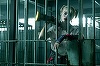 Filmul „Păsări de pradă şi fantastica Harley Quinn”, debut pe primul loc în box office-ul românesc