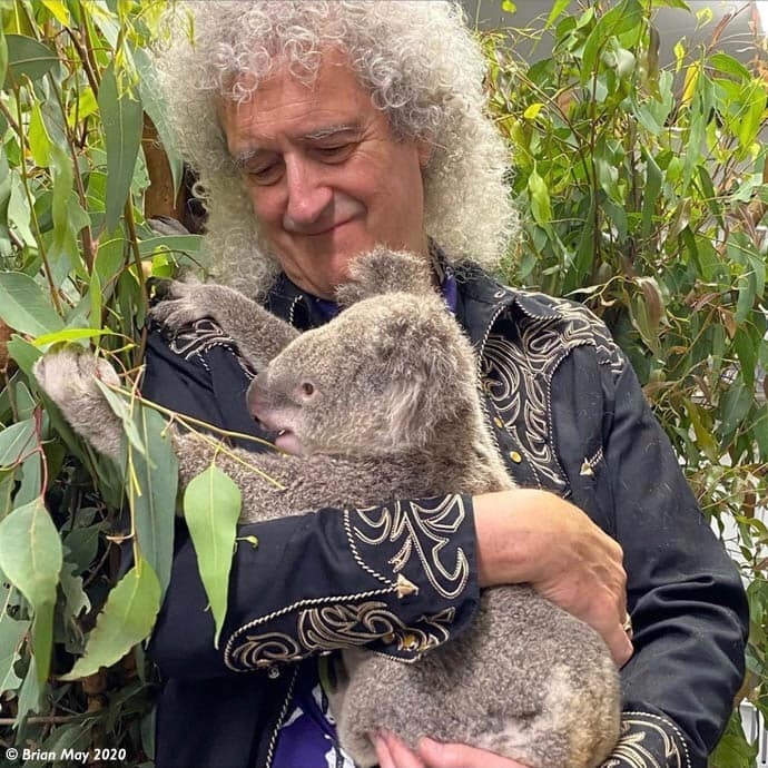 Brian May, chitaristul formaţiei Queen, a cântat în Australia pentru un koala salvat din incendiu - VIDEO