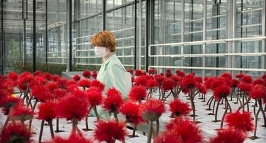 „Little Joe”, care i-a adus actriţei Emily Beecham premiul pentru interpretare la Cannes, din 6 martie în cinematografele româneşti