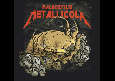 O specie de crustacee descoperită în apele dintre Hawaii şi Mexic, denumită în onoarea trupei Metallica