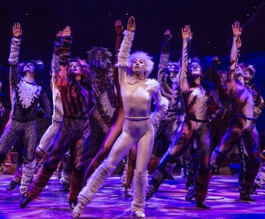 Pelicula "Cats" a câştigat şase premii Zmeura de Aur pentru "cel mai prost film"