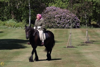Regina Elizabeth II, în vârstă de 94 de ani, fotografiată călare în curtea palatului Windsor