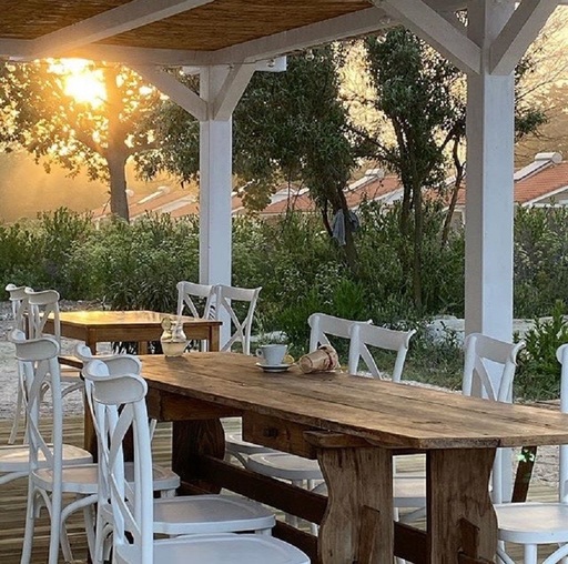 Proiect gastronomic bazat pe ingrediente din Delta Dunării şi Marea Neagră, lansat de  Chef Alexandru Dumitru pe plaja Copahavana din Olimp - Alexandru Dumitru: Îmi place să pun în valoare ingredientele de sezon locale şi să surprind specificul locului
