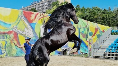 Fachiri, acrobaţi subacvatici, demonstraţii ecvestre, salturi prin cercuri de foc, în spectacolul de circ "Poveşti cu cai, Apă şi Foc" 