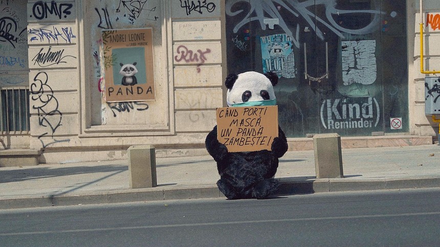 „Când porţi mască un panda zâmbeşte”, proiect artistico-civic al cântăreţului Andrei Leonte - VIDEO