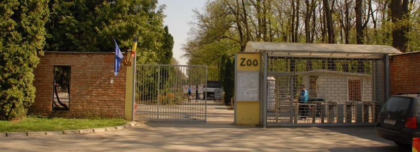 Cei şase canguri de la Grădina Zoologică din Timişoara au fost omorâţi de câini