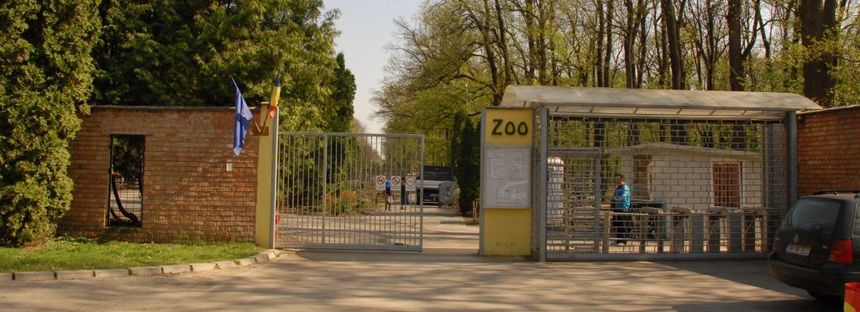 Cei şase canguri de la Grădina Zoologică din Timişoara au fost omorâţi de câini