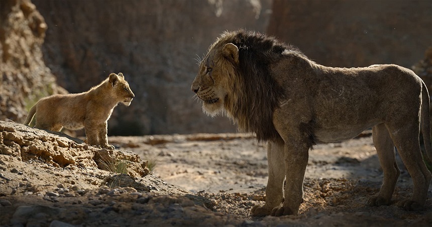 O continuare „The Lion King”, regizată de Barry Jenkins