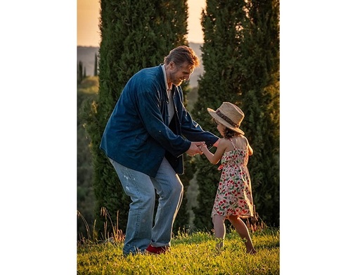 O comedie cu Liam Neeson, două documentare româneşti şi o animaţie, de vineri în cinematografe