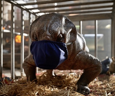 Filmările pentru „Jurassic World: Dominion”, suspendate după mai multe teste Covid-19 pozitive