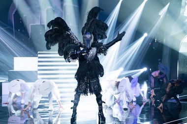 Corbul a câştigat primul sezon „Masked Singer România”. Finala de vineri seară, lider de audienţă