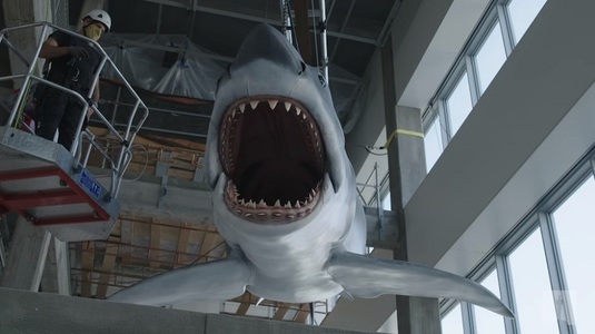 Macheta rechinului din filmul-cult "Fălci" se află la viitorul muzeu al Academiei americane de film - VIDEO