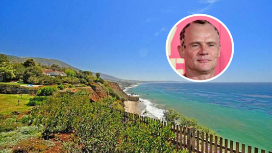 Flea, basistul trupei Red Hot Chili Peppers, a vândut pentru 20 de milioane de dolari o casă din Malibu