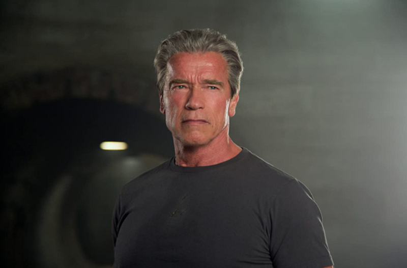 Arnold Schwarzenegger a fost desemnat personalitatea care poate gestiona o invazie extraterestră