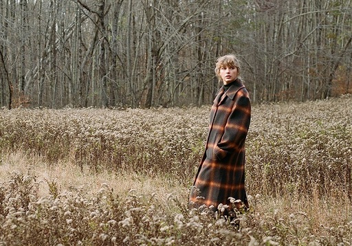 Taylor Swift şi parcul de distracţii Evermore au renunţat la procese fără o înţelegere financiară

