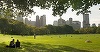 Un concert gigant, prevăzut în august la New York