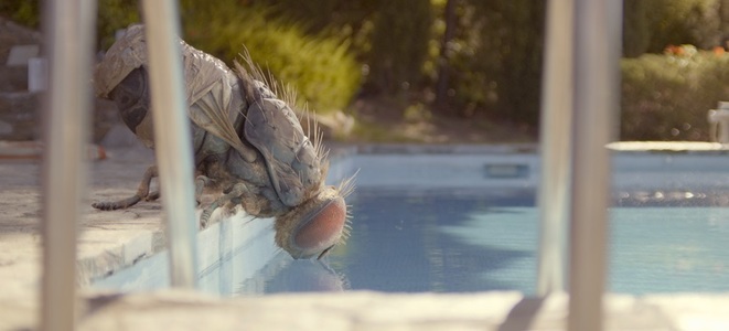 Comedia „Mandibules”, de Quentin Dupieux, din 18 iunie în cinematografe. „Adieu les cons” şi „Gli anni più belli”, între filmele lansate vara aceasta în România