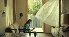TIFF 2021 - Douăsprezece filme, în competiţie. Guillermo Arriaga, scenaristul „Amores perros”, „21 Grams” şi „Babel”, în juriu
