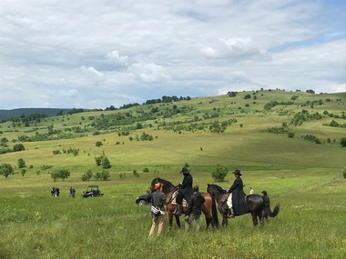 Primele imagini din serialul de televiziune „Django”, filmat în România - FOTO