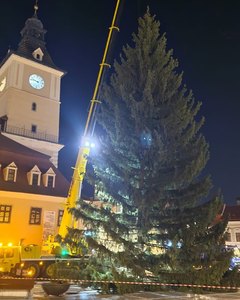 Bradul de Crăciun, amplasat în Piaţa Sfatului din Braşov/ Alţi zece brazi, în cartierele municipiului