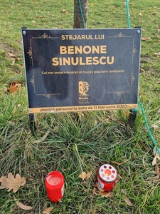 Primăria Buzău a amenajat două locuri în care buzoienii pot veni să aprindă o lumânare în memoria lui Benone Sinulescu. Unul dintre acestea este la stejarul plantat anul trecut de artist - FOTO