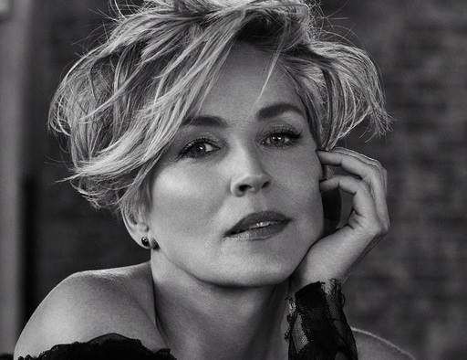 Sharon Stone se alătură distribuţiei serialului „The Flight Attendant” în sezonul doi 