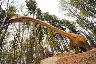 Aproape 500.000 de turişti au vizitat, anul trecut, Dino Parc Râşnov
