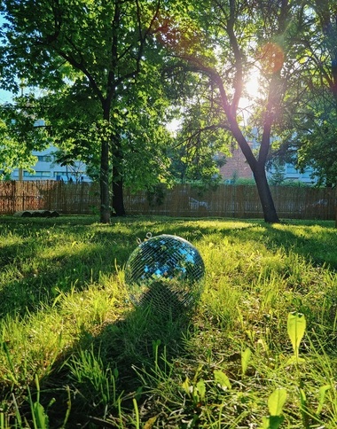 Organizatorul Festivalului Nostalgia, amendat cu 26.000 de lei pentru zgomot şi distrugerea spaţiului verde în Parcul Izvor