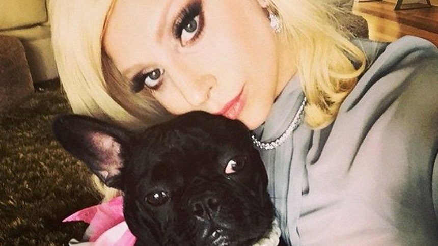 Patru ani de închisoare pentru unul dintre răpitorii câinilor lui Lady Gaga