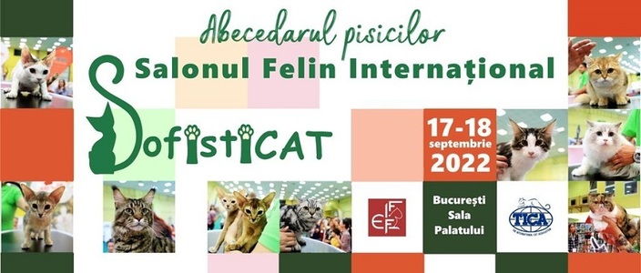 SofistiCAT - Salonul Felin Internaţional Bucureşti revine în weekend la Sala Palatului