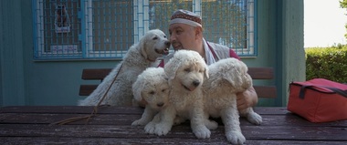 Documentarul satiric „Al cui câine sunt?” are premiera internaţională la Varşovia iar avanpremiera naţională în competiţia Astra Film Festival - VIDEO