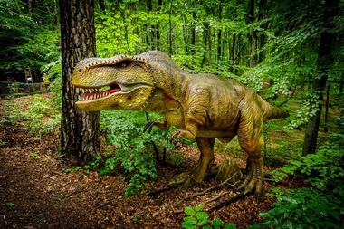 Dino Parc Râşnov a fost vizitat în 2022 de aproape jumătate de milion de persoane